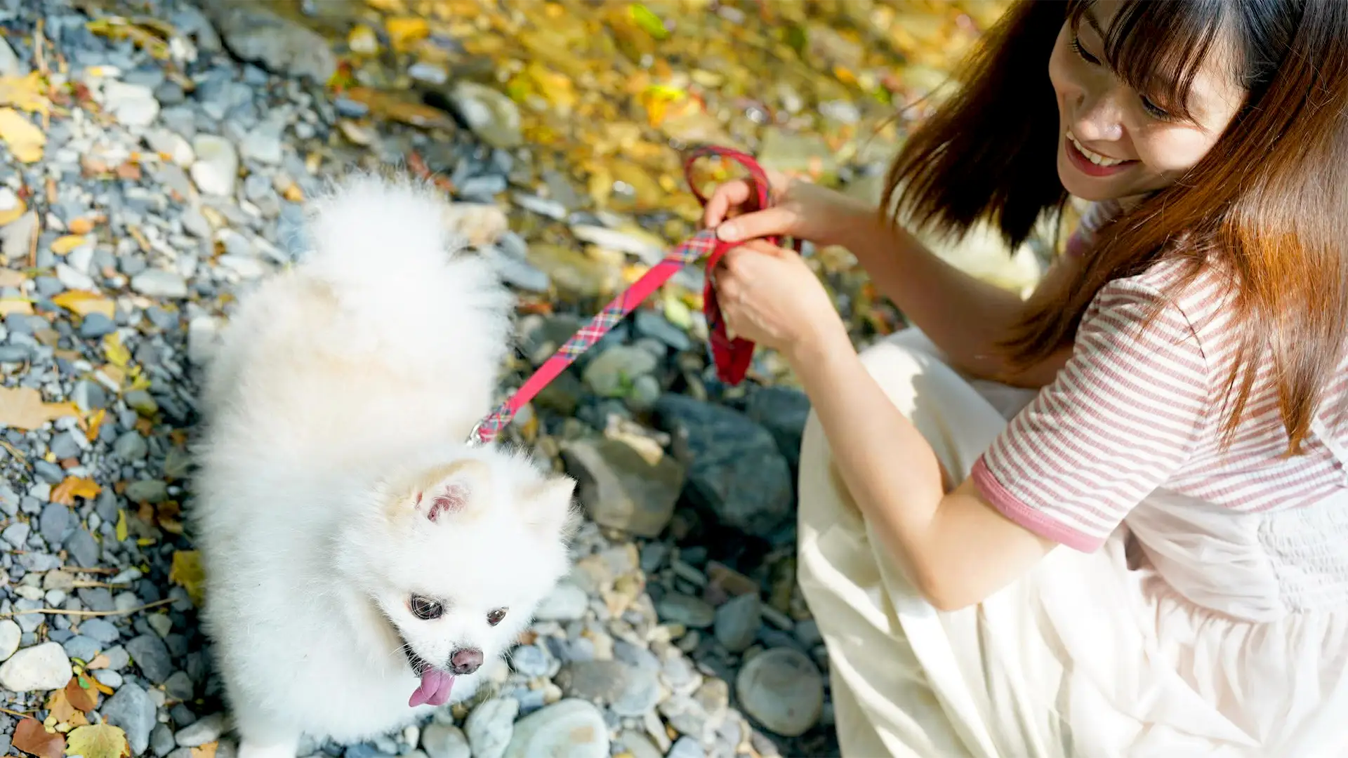 川原で愛犬と過ごす