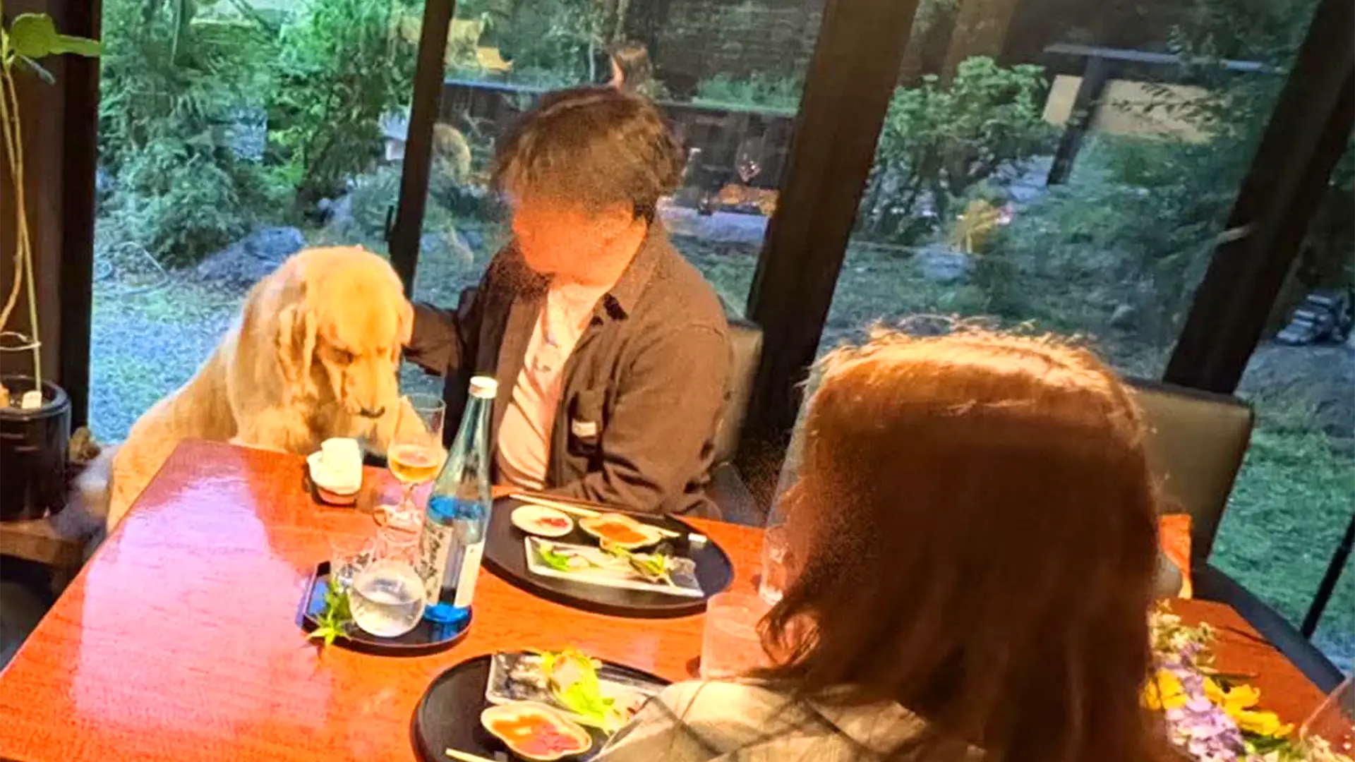 愛犬と過ごすダイニング